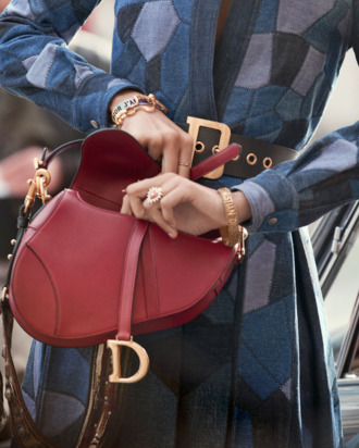 4 Incredible Dior Saddle Bag Looks For Less - Lane Creatore