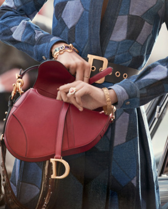 Dior's Iconic Saddle Bag Fashion Inspiration & Bags of Style